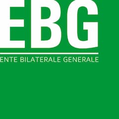 Logo Ebigen